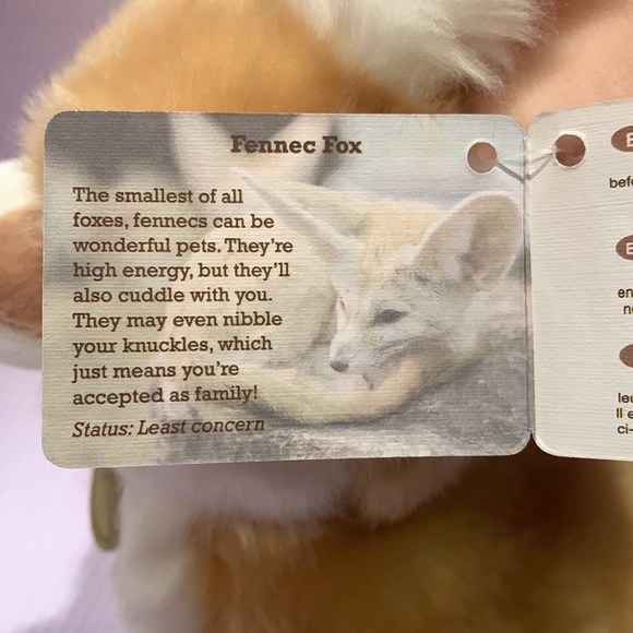 BRAND NEW! Fennec fox stuffed animal - Picture 5 of 5